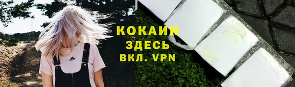 стафф Богданович