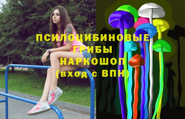 спайс Богородицк