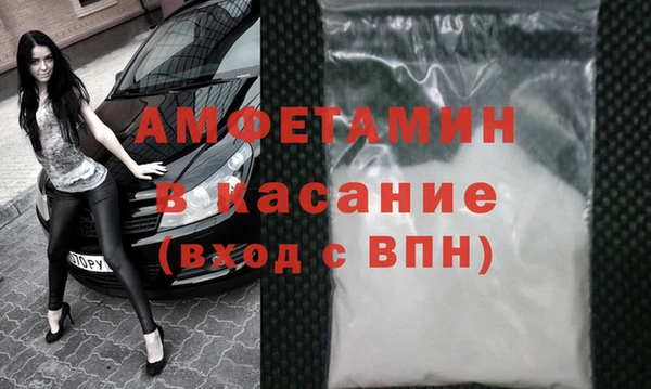 стафф Богданович