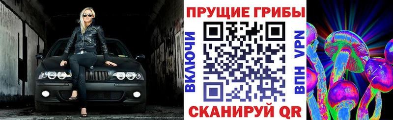 Псилоцибиновые грибы MAGIC MUSHROOMS  KRAKEN ссылки  Ялта  продажа наркотиков 